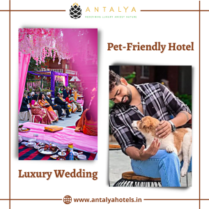 luxury hotels in Rishikesh