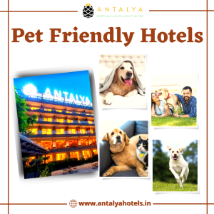 Pet Friendly Hotels
