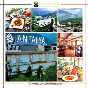 Best Resort in Rishikesh with amazing view 
