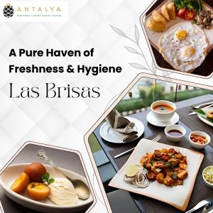 las brisas / best resturants in Rishikesh , tapovan /  fresh and hygiene foods